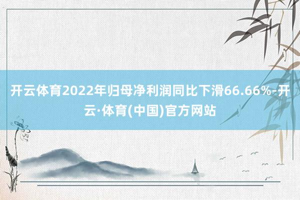 开云体育2022年归母净利润同比下滑66.66%-开云·体育(中国)官方网站
