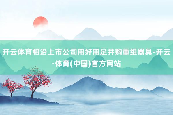 开云体育相沿上市公司用好用足并购重组器具-开云·体育(中国)官方网站