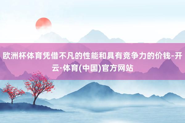 欧洲杯体育凭借不凡的性能和具有竞争力的价钱-开云·体育(中国)官方网站