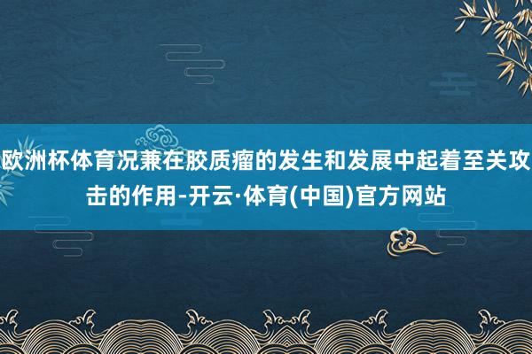 欧洲杯体育况兼在胶质瘤的发生和发展中起着至关攻击的作用-开云·体育(中国)官方网站
