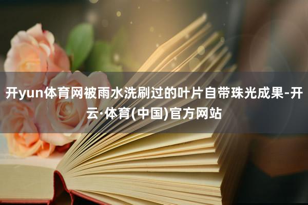 开yun体育网被雨水洗刷过的叶片自带珠光成果-开云·体育(中国)官方网站