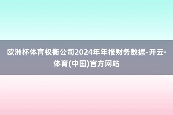 欧洲杯体育权衡公司2024年年报财务数据-开云·体育(中国)官方网站