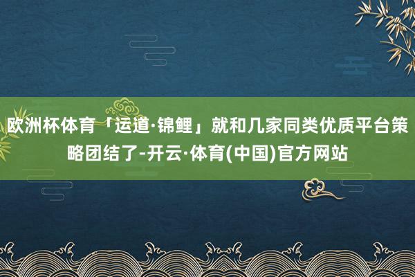 欧洲杯体育「运道·锦鲤」就和几家同类优质平台策略团结了-开云·体育(中国)官方网站