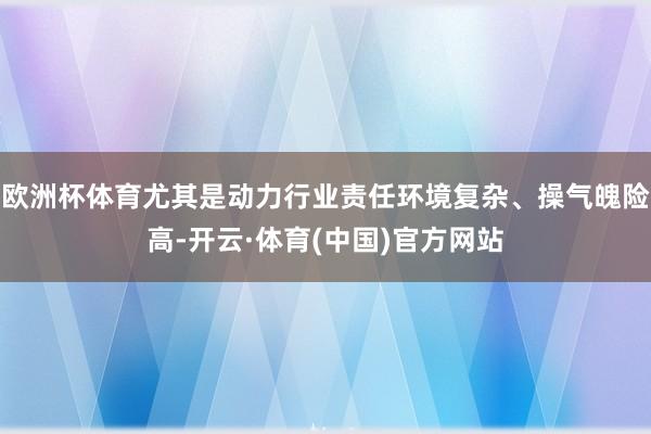 欧洲杯体育尤其是动力行业责任环境复杂、操气魄险高-开云·体育(中国)官方网站